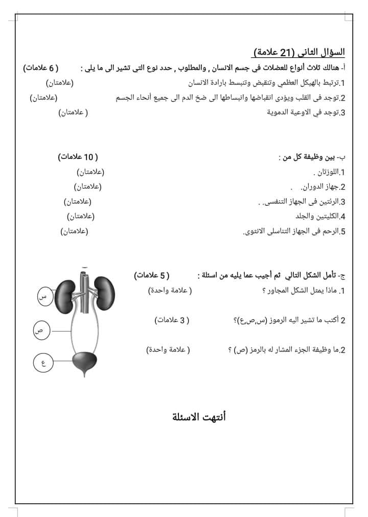 صور امتحان الشهر الاول لمادة العلوم للصف الثامن الفصل الثاني 2024